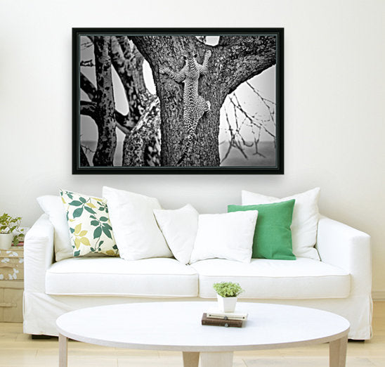 Giclée Stretched Canvas Print