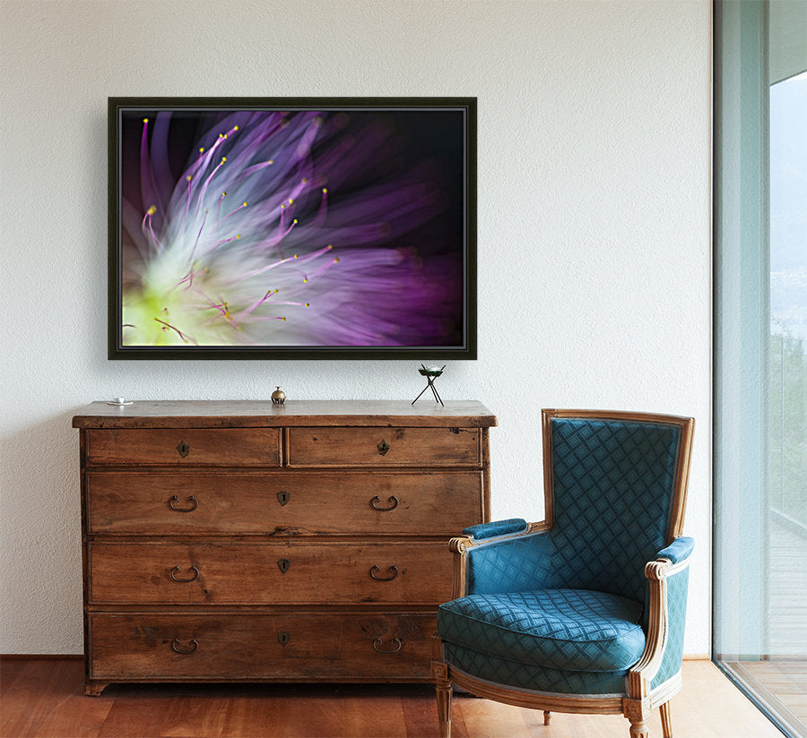 Giclée Stretched Canvas Print