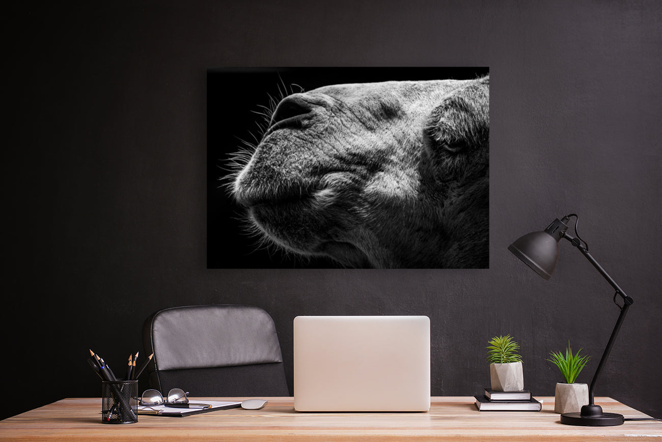 Giclée Stretched Canvas Print