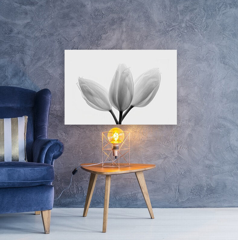 Giclée Stretched Canvas Print