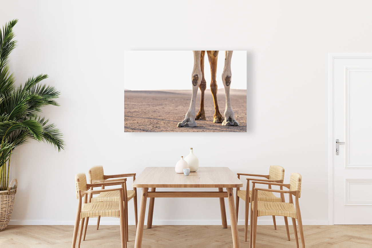 Giclée Stretched Canvas Print