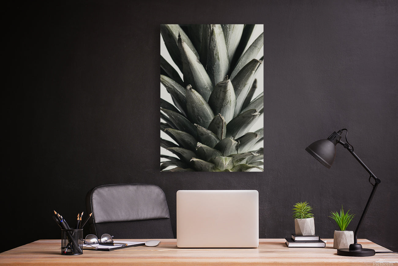 Giclée Stretched Canvas Print