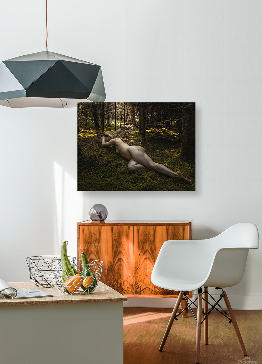 Giclée Stretched Canvas Print