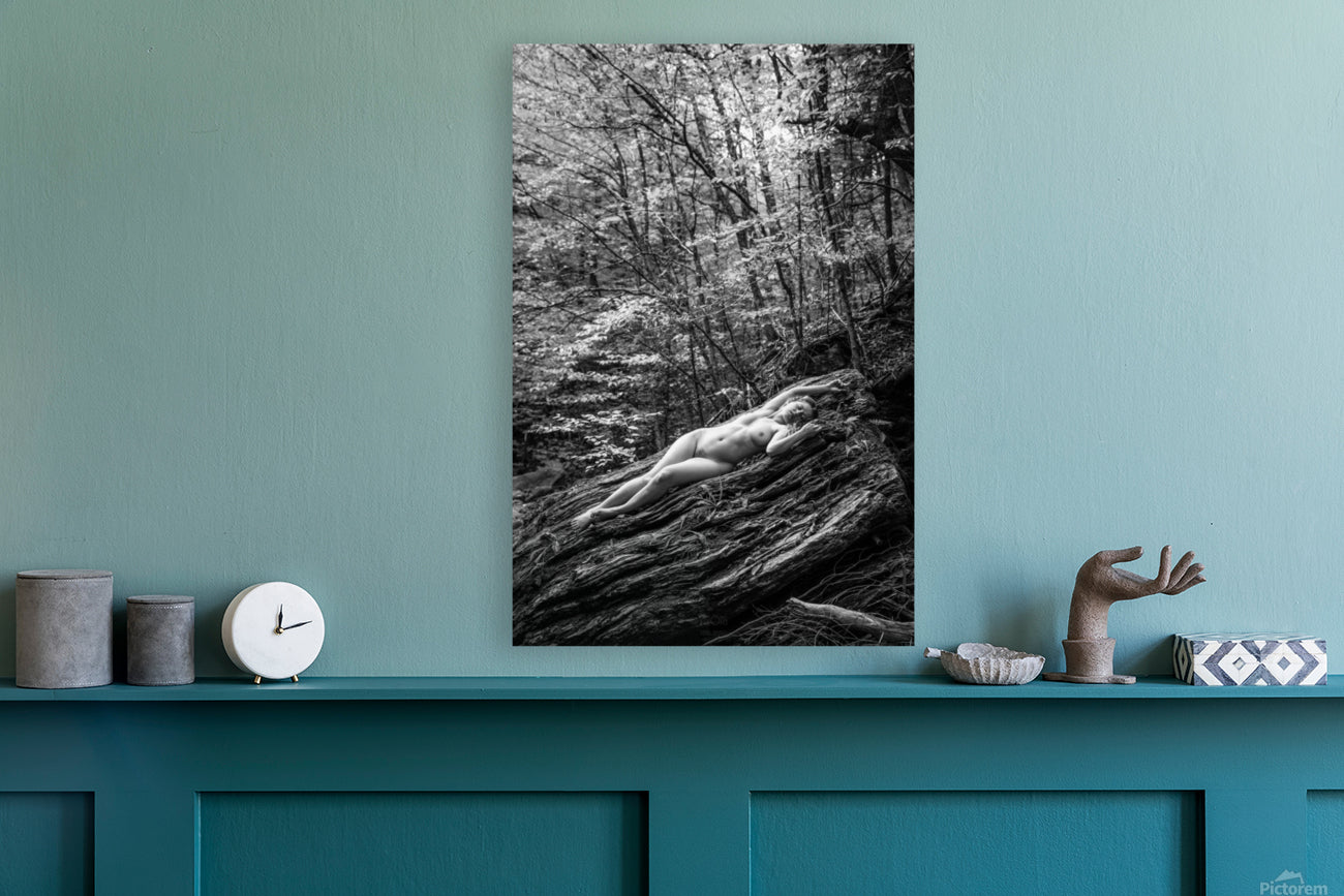 Giclée Stretched Canvas Print