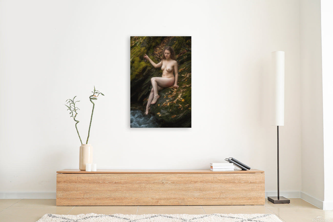 Giclée Stretched Canvas Print