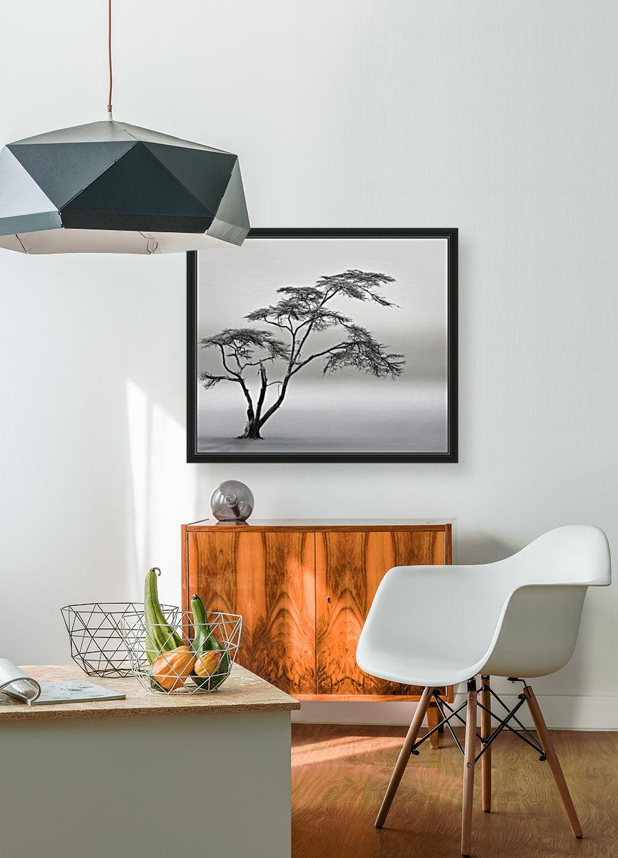 Giclée Stretched Canvas Print