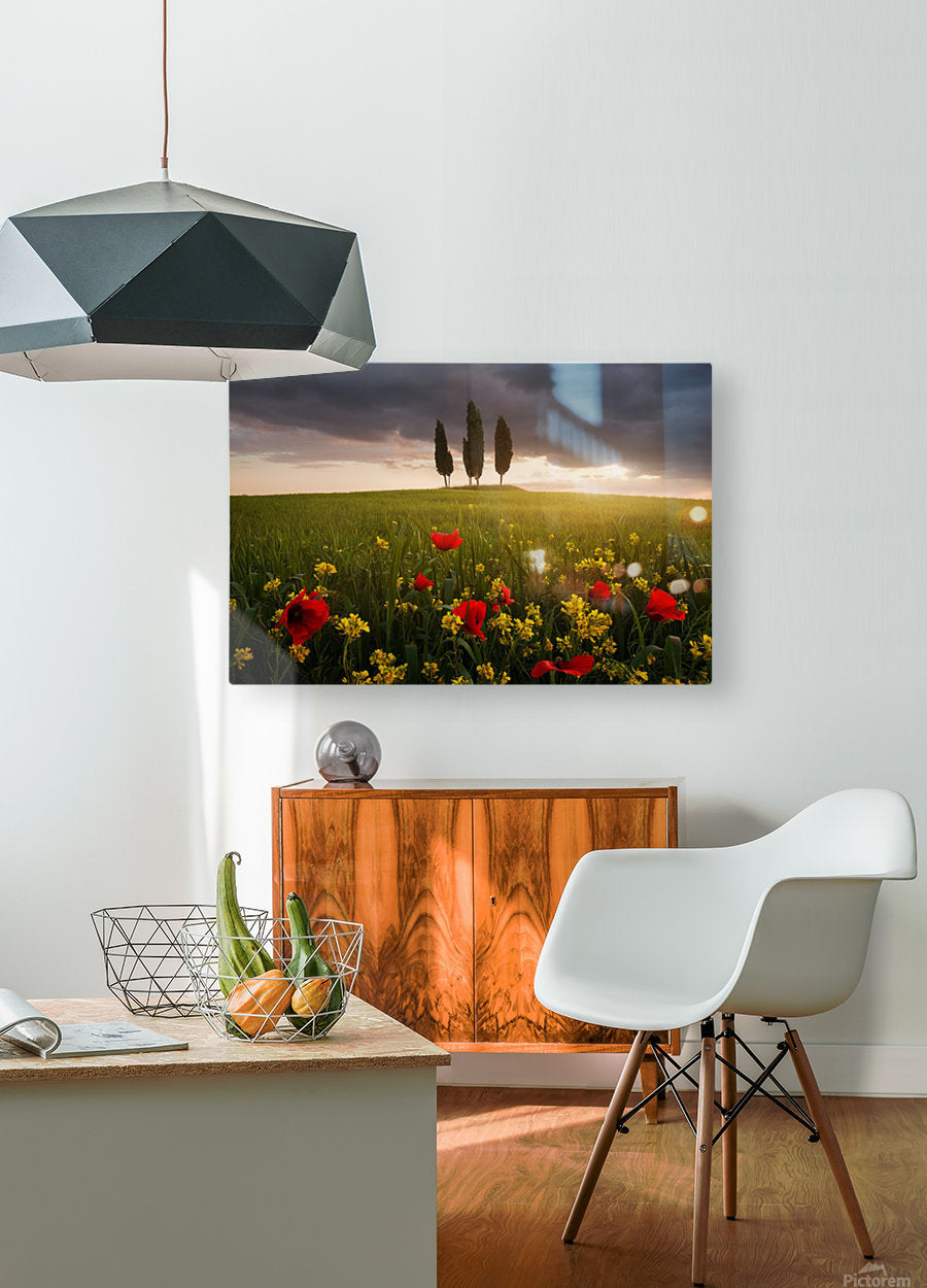 HD Sublimation Metal Print