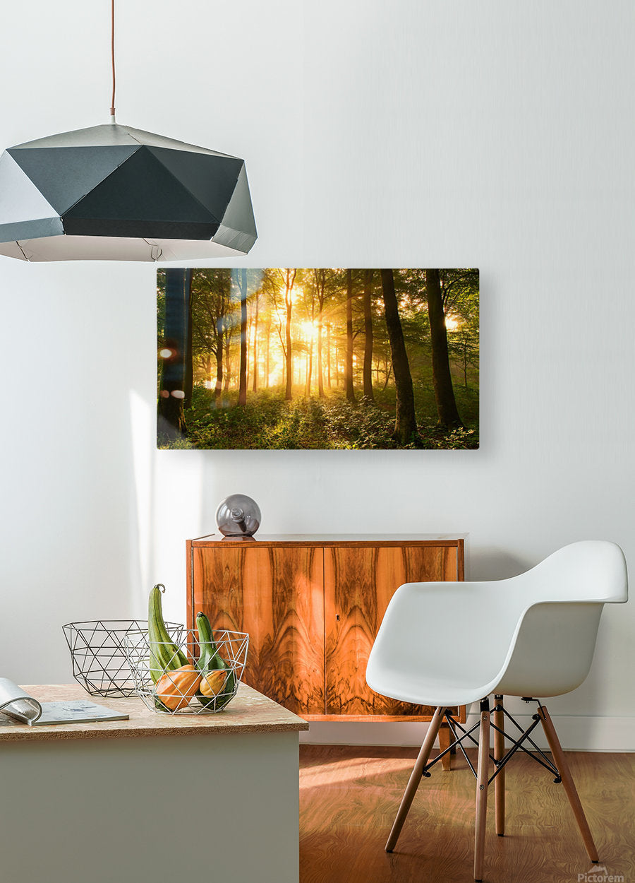 HD Sublimation Metal Print