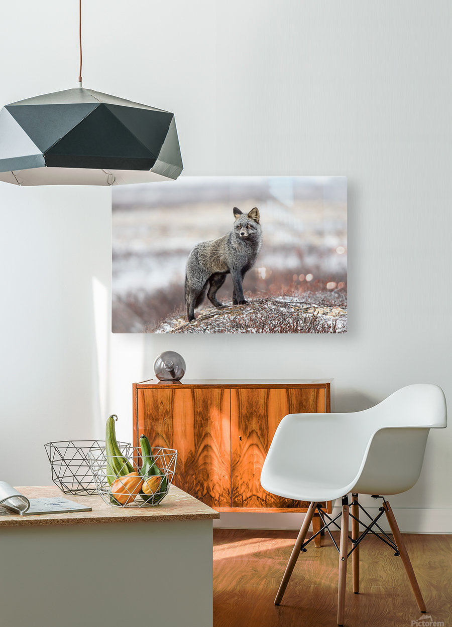 HD Sublimation Metal Print