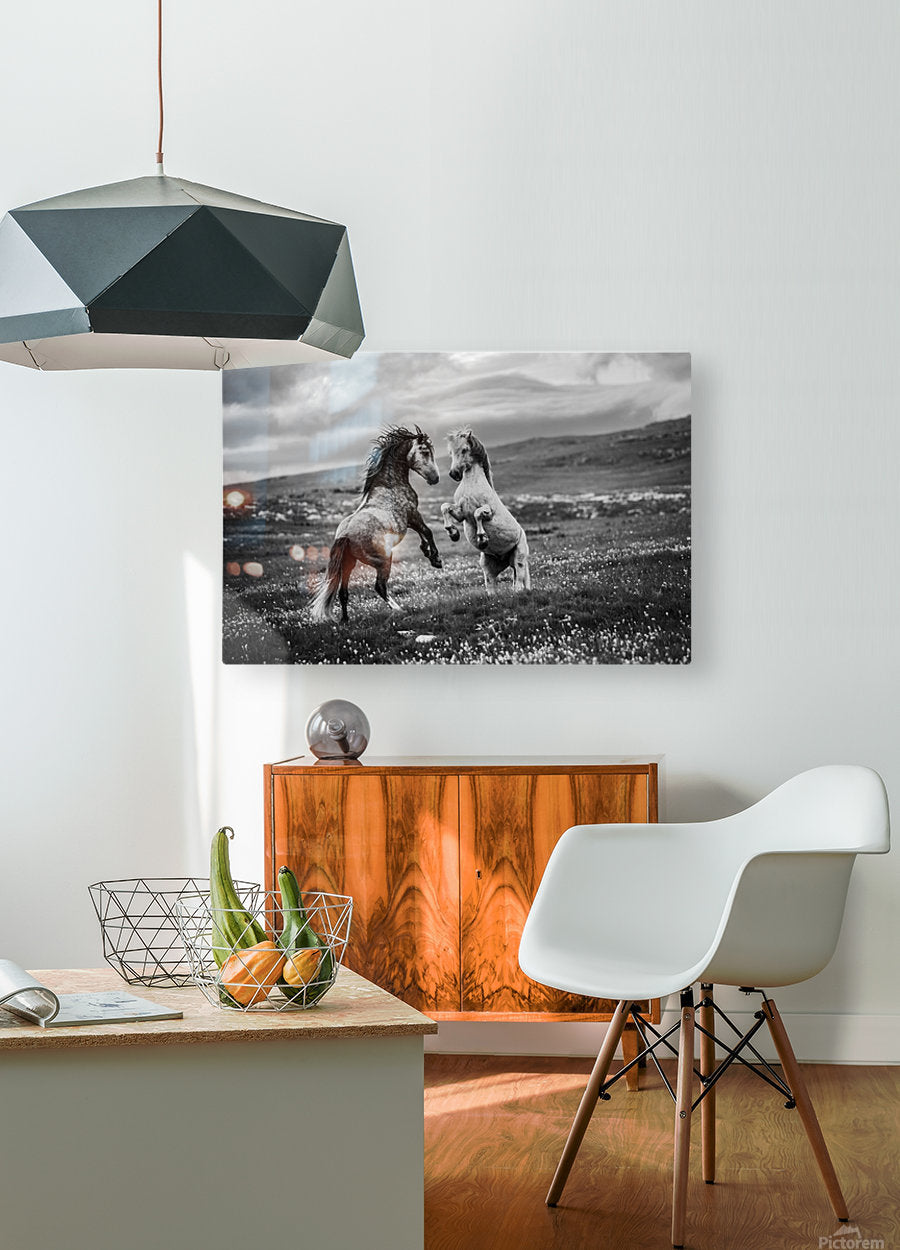 HD Sublimation Metal Print