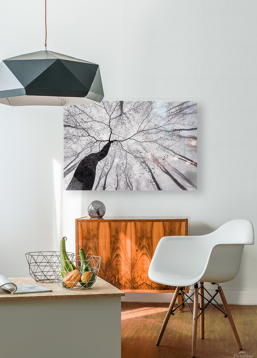 HD Sublimation Metal Print