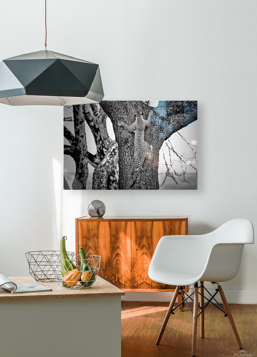 HD Sublimation Metal Print