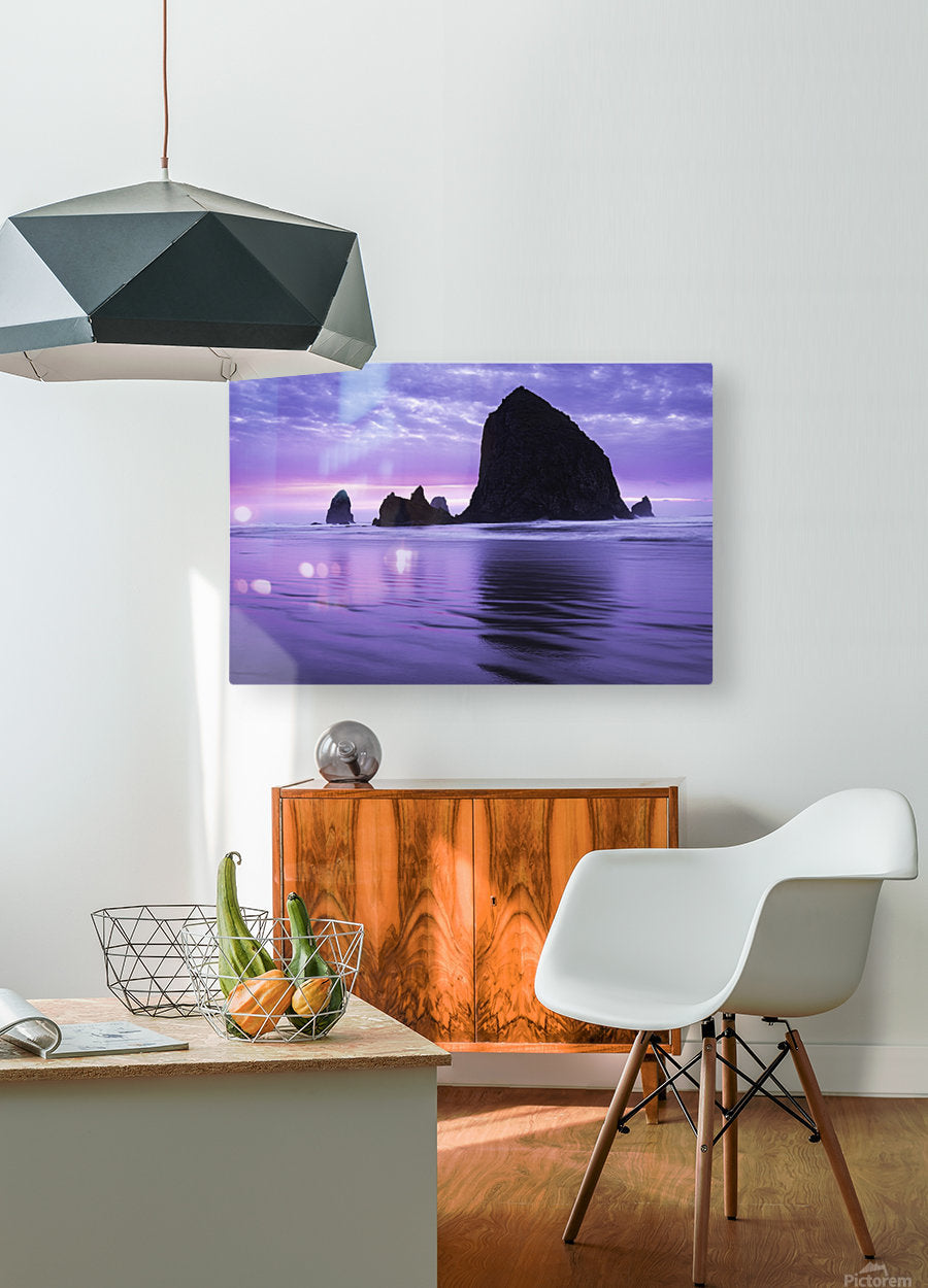 HD Sublimation Metal Print