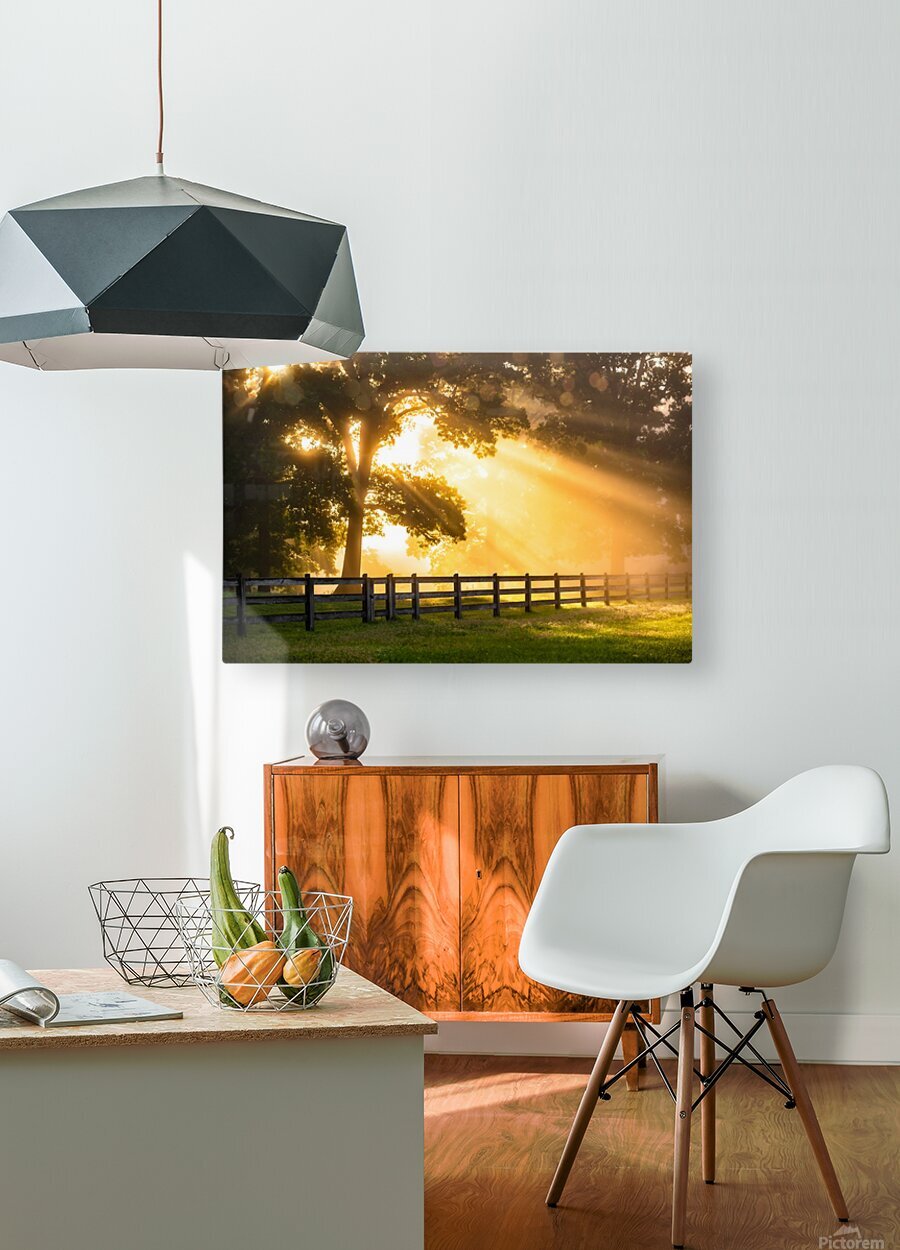 HD Sublimation Metal Print