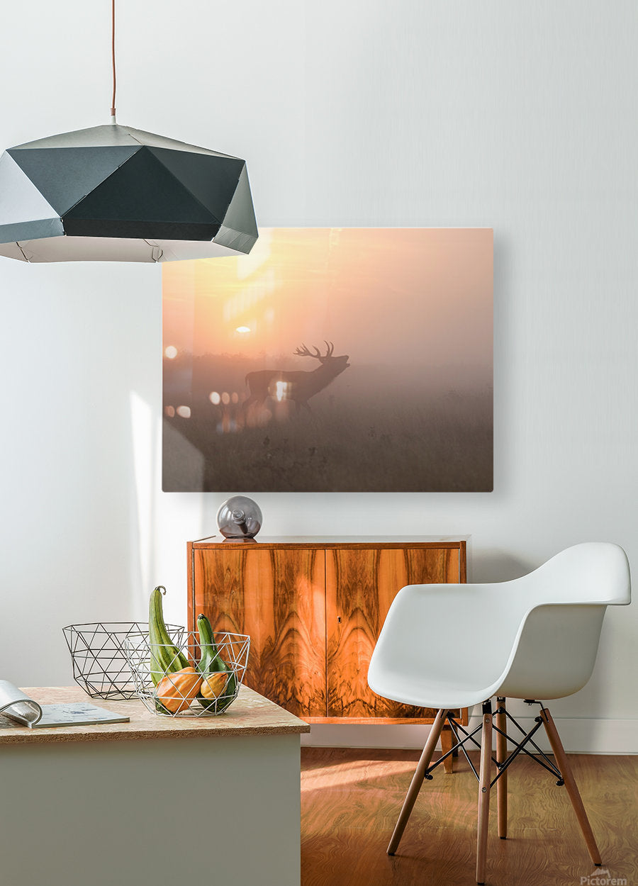 HD Sublimation Metal Print