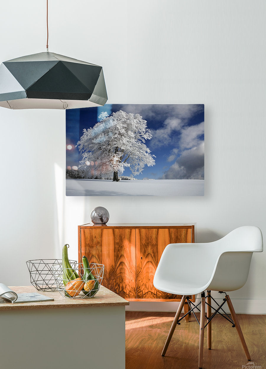 HD Sublimation Metal Print