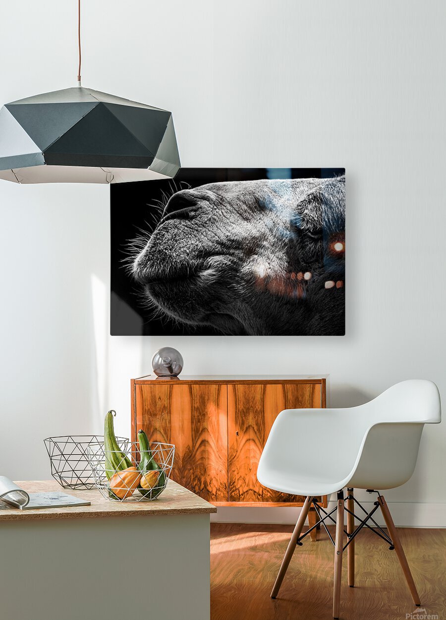 HD Sublimation Metal Print