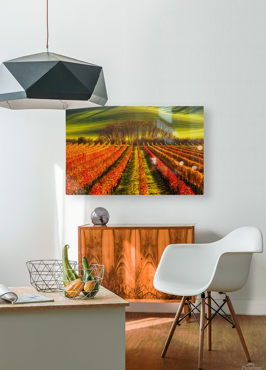 HD Sublimation Metal Print