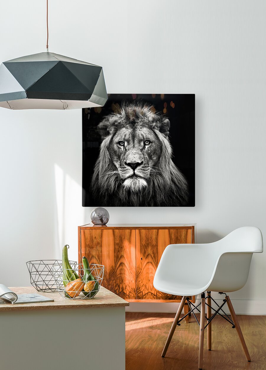 HD Sublimation Metal Print