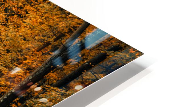 HD Sublimation Metal Print