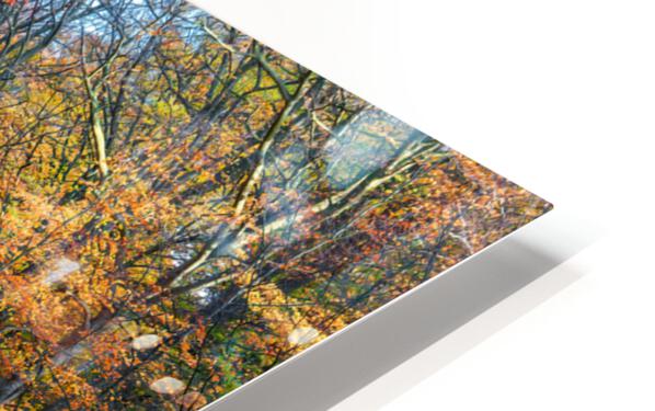 HD Sublimation Metal Print